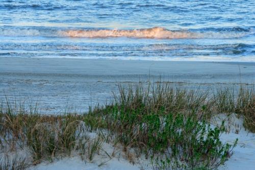 Beach;Botanical;Botanicals;Drift;Dune;Dusk;Flora;Flowers;Heap;Herb;Hillock;Mound;Ocean;Personal;Plant;Ridge;San;Sand;Sand Dune;Sea;Shrub;Water;Waves;White Sand;beaches;botany;close of day;evening;eventide;grass;greenery;herbage;last Light;plants;shore;shoreline;sky;sun;sunset;vegetation